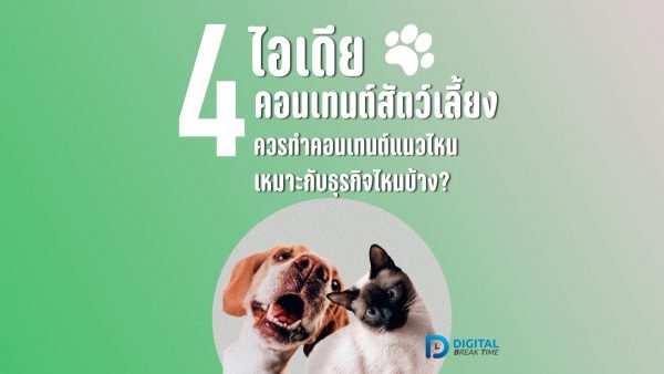 คอนเทนต์ สัตว์เลี้ยง