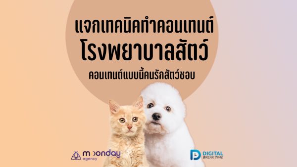 คอนเทนต์ โรงพยาบาลสัตว์