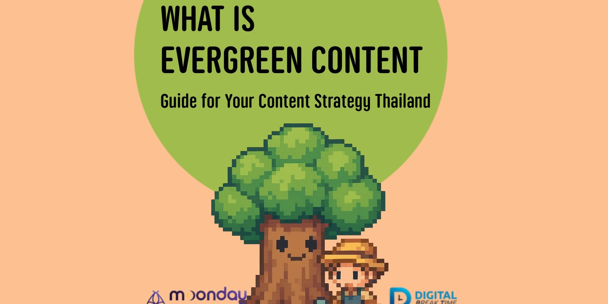 02-01 EN Evergreen Content Meaning Evergreen Content Meaning