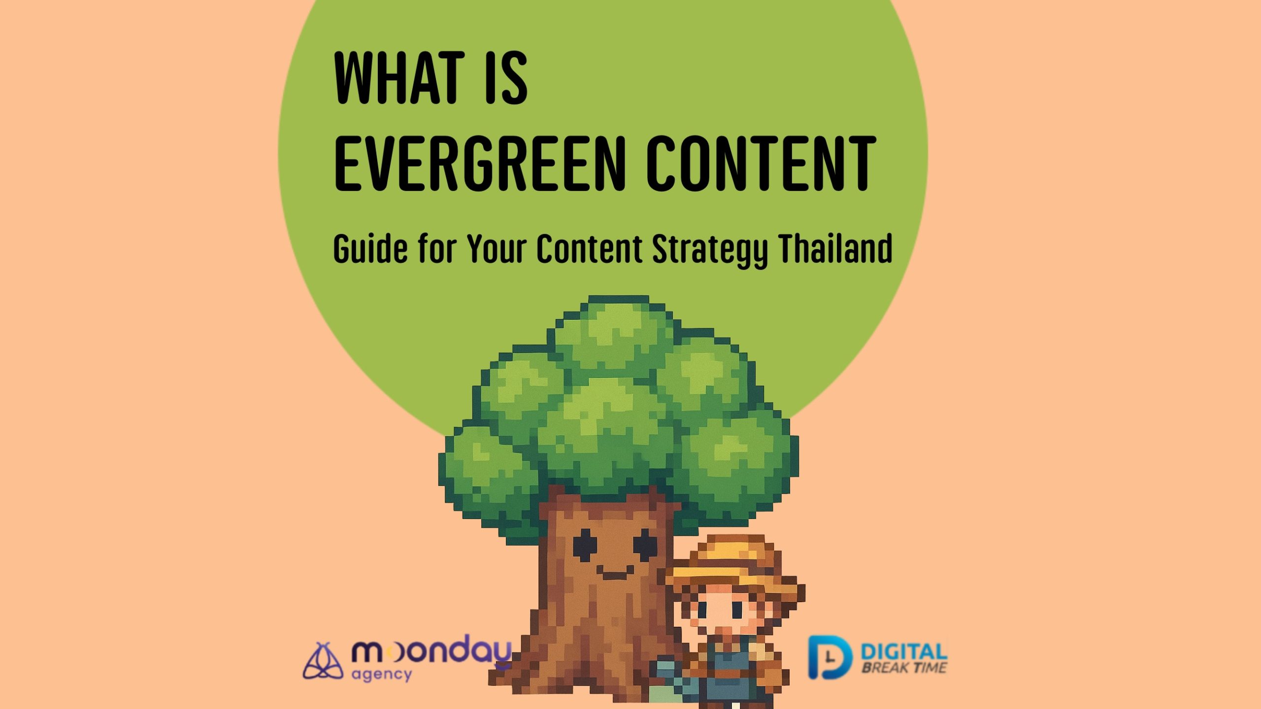 02-01 EN Evergreen Content Meaning