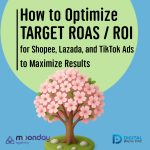 01-01 EN Optimize Target ROAS ROI