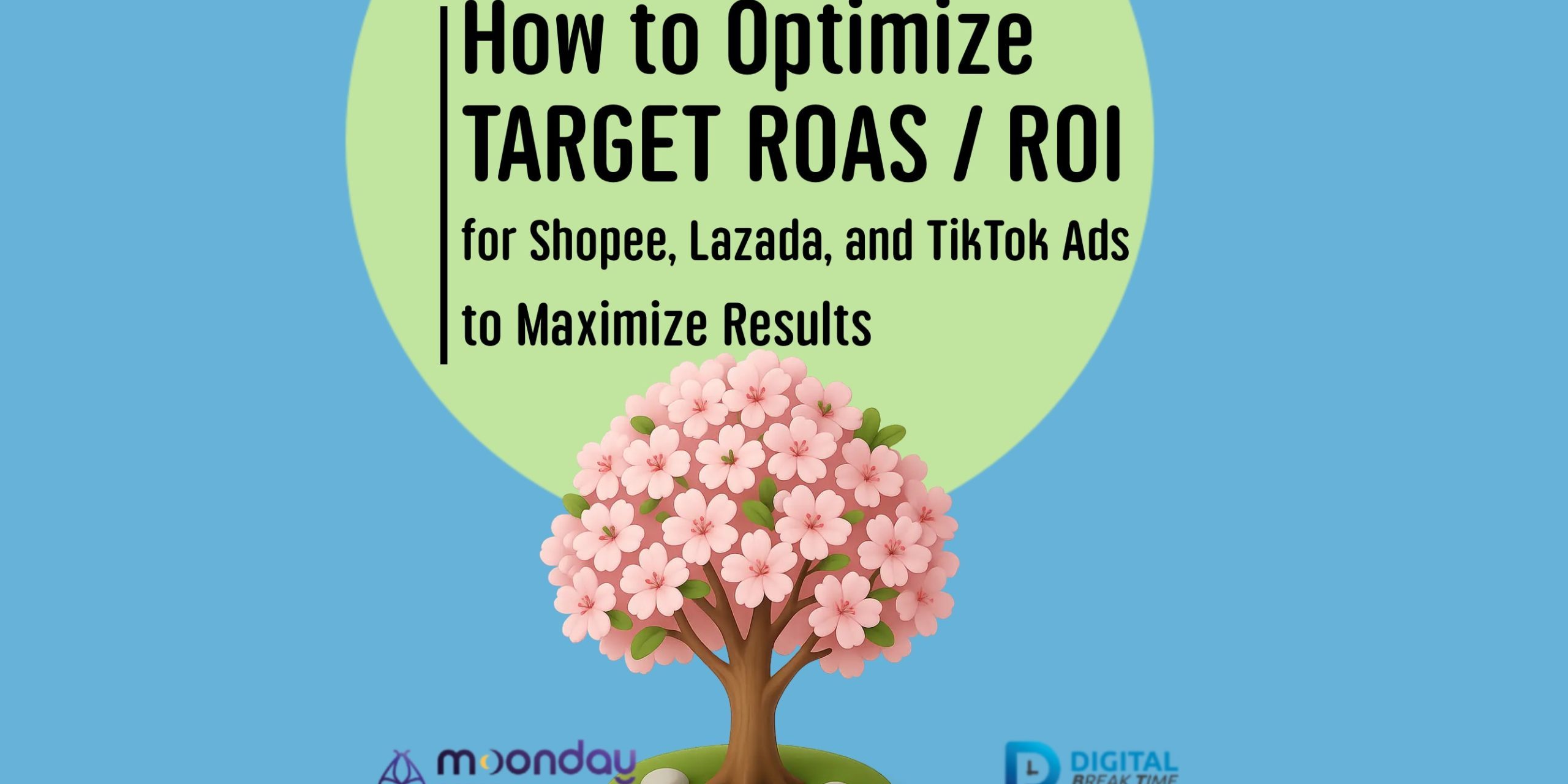 Optimize Target ROAS ROI