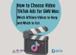 Choose Video TikTok Ads