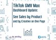 TikTok GMV Max Dashboard